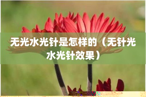 无光水光针是怎样的（无针光水光针效果）