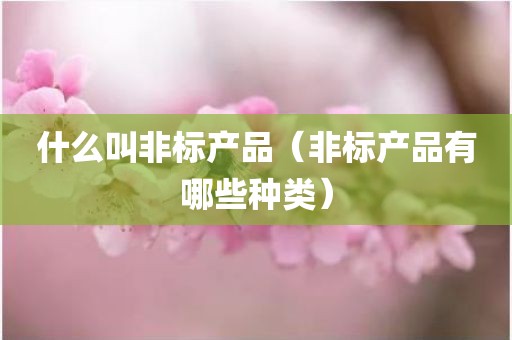 什么叫非标产品（非标产品有哪些种类）