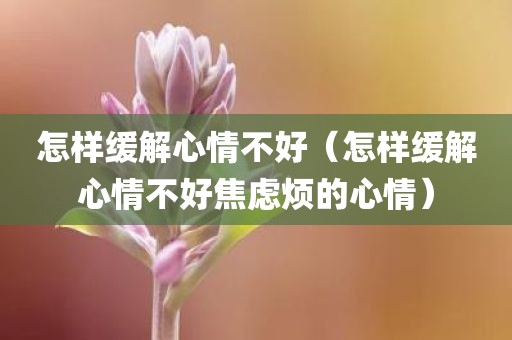 怎样缓解心情不好（怎样缓解心情不好焦虑烦的心情）