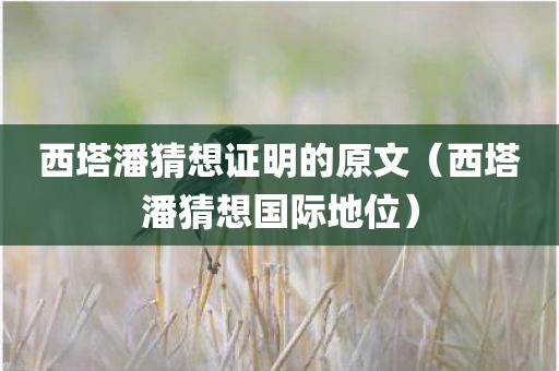 西塔潘猜想证明的原文（西塔潘猜想国际地位）
