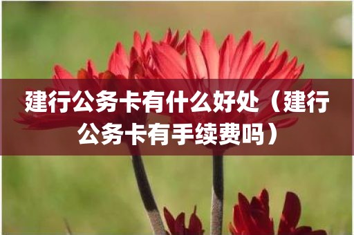 建行公务卡有什么好处（建行公务卡有手续费吗）