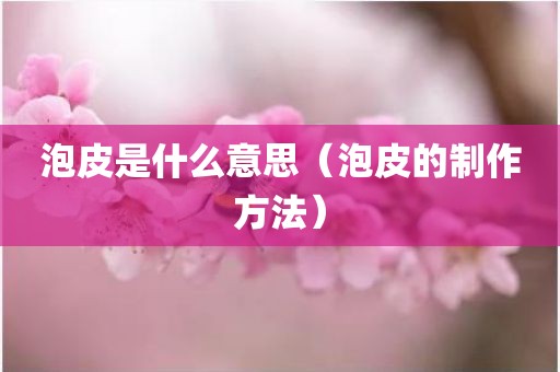 泡皮是什么意思（泡皮的制作方法）