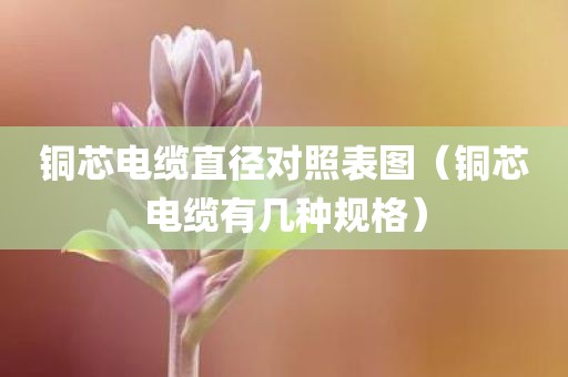 铜芯电缆直径对照表图（铜芯电缆有几种规格）