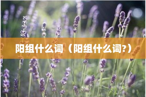 阳组什么词（阳组什么词?）