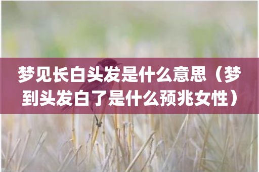 梦见长白头发是什么意思（梦到头发白了是什么预兆女性）