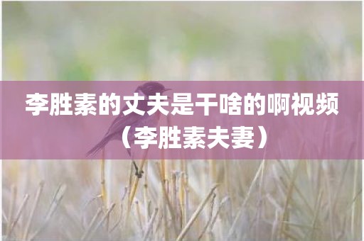 李胜素的丈夫是干啥的啊视频（李胜素夫妻）