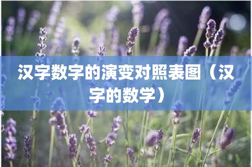汉字数字的演变对照表图（汉字的数学）