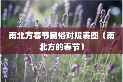 南北方春节民俗对照表图（南北方的春节）