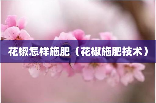 花椒怎样施肥（花椒施肥技术）