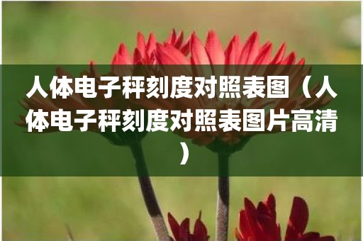 人体电子秤刻度对照表图（人体电子秤刻度对照表图片高清）