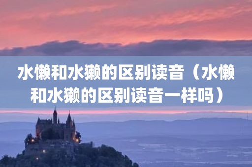 水懒和水獭的区别读音（水懒和水獭的区别读音一样吗）