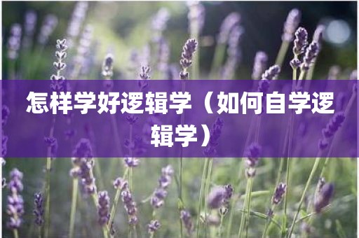 怎样学好逻辑学（如何自学逻辑学）