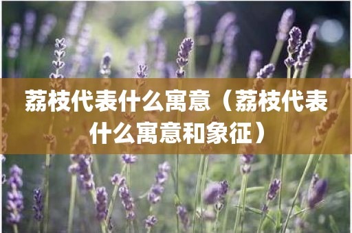 荔枝代表什么寓意（荔枝代表什么寓意和象征）