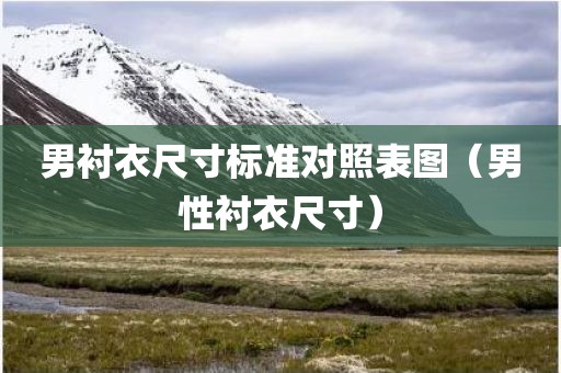 男衬衣尺寸标准对照表图（男性衬衣尺寸）