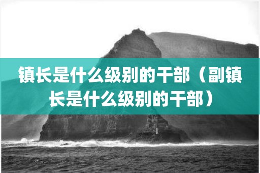 镇长是什么级别的干部（副镇长是什么级别的干部）