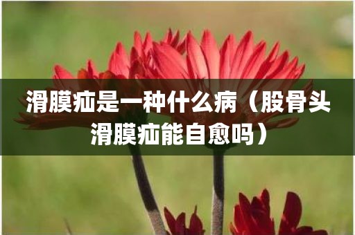 滑膜疝是一种什么病（股骨头滑膜疝能自愈吗）