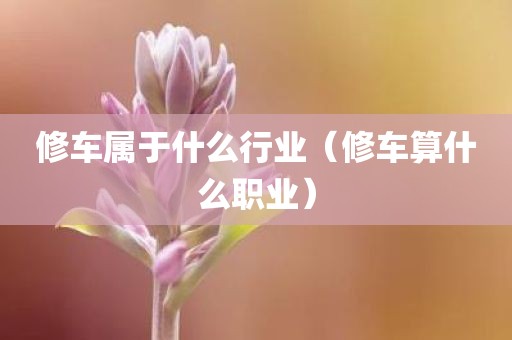 修车属于什么行业（修车算什么职业）