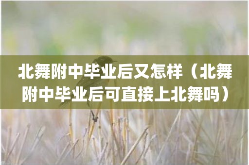 北舞附中毕业后又怎样（北舞附中毕业后可直接上北舞吗）