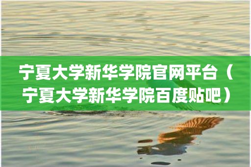 宁夏大学新华学院官网平台（宁夏大学新华学院百度贴吧）