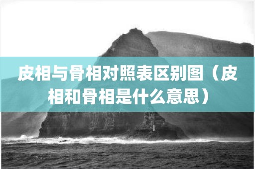 皮相与骨相对照表区别图（皮相和骨相是什么意思）