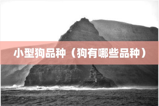 小型狗品种（狗有哪些品种）