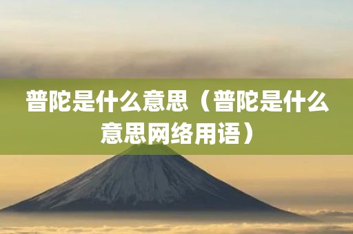 普陀是什么意思（普陀是什么意思网络用语）