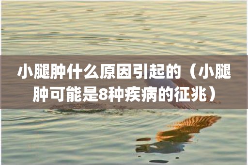 小腿肿什么原因引起的（小腿肿可能是8种疾病的征兆）