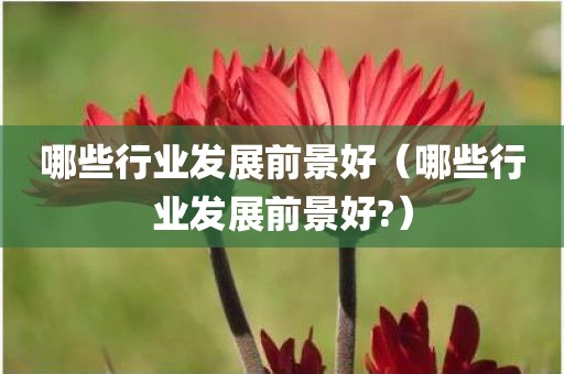 哪些行业发展前景好（哪些行业发展前景好?）
