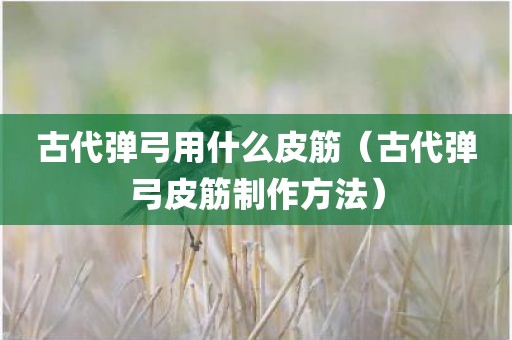 古代弹弓用什么皮筋（古代弹弓皮筋制作方法）