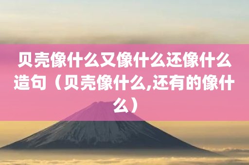 贝壳像什么又像什么还像什么造句（贝壳像什么,还有的像什么）