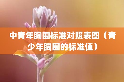 中青年胸围标准对照表图(青少年胸围的标准值) 中青年胸围标准对照表图(青少年胸围的标准值)