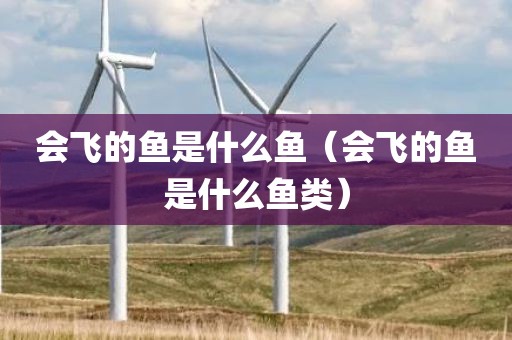 会飞的鱼是什么鱼（会飞的鱼是什么鱼类）