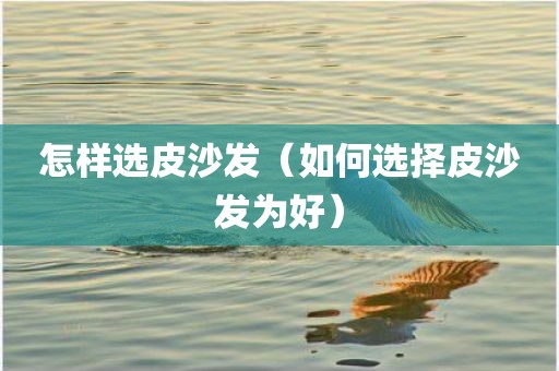 怎样选皮沙发（如何选择皮沙发为好）