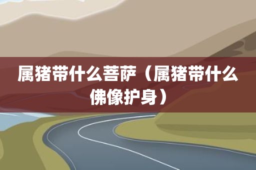属猪带什么菩萨（属猪带什么佛像护身）