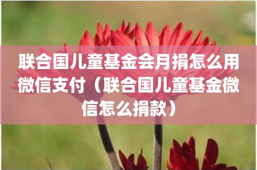 联合国儿童基金会月捐怎么用微信支付（联合国儿童基金微信怎么捐款）