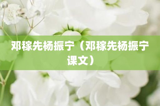邓稼先杨振宁（邓稼先杨振宁课文）