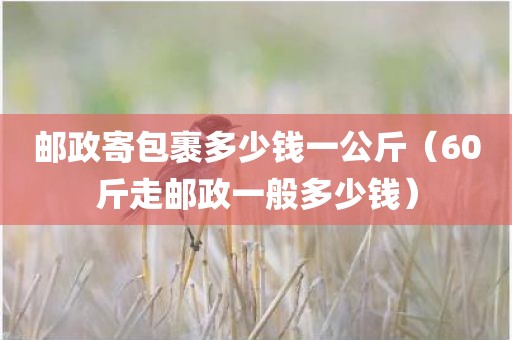 邮政寄包裹多少钱一公斤（60斤走邮政一般多少钱）