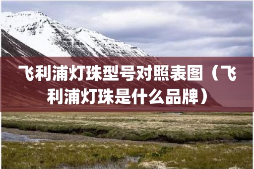 飞利浦灯珠型号对照表图（飞利浦灯珠是什么品牌）