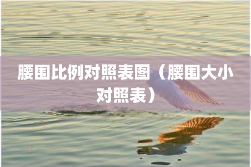 腰围比例对照表图（腰围大小对照表）