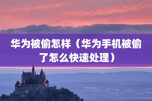 华为被偷怎样（华为手机被偷了怎么快速处理）