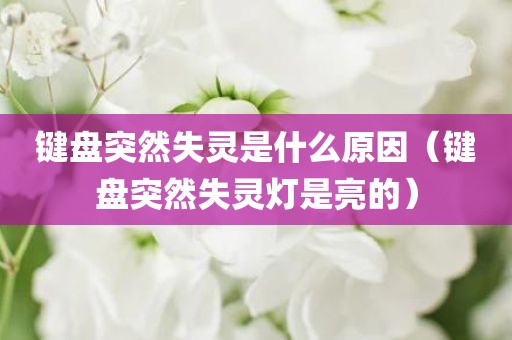 键盘突然失灵是什么原因（键盘突然失灵灯是亮的）