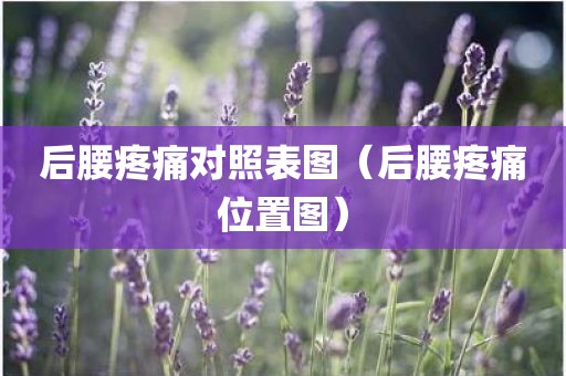 后腰疼痛对照表图（后腰疼痛位置图）