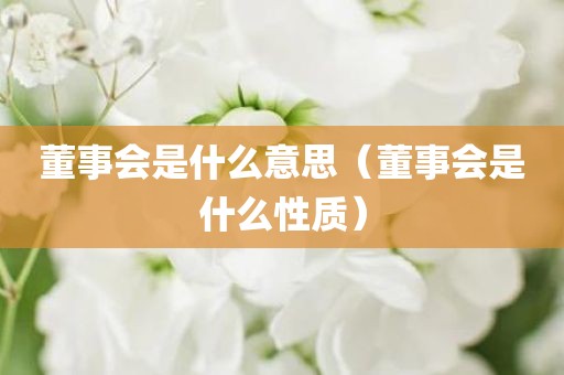 董事会是什么意思（董事会是什么性质）
