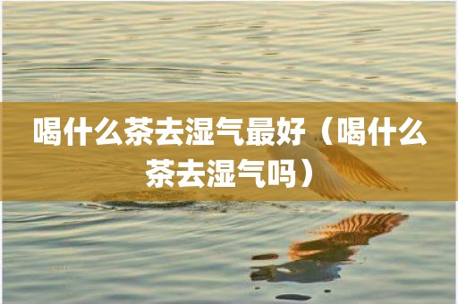 喝什么茶去湿气最好（喝什么茶去湿气吗）