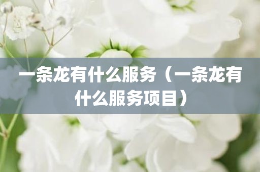 一条龙有什么服务（一条龙有什么服务项目）