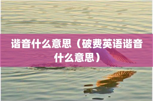 谐音什么意思（破费英语谐音什么意思）