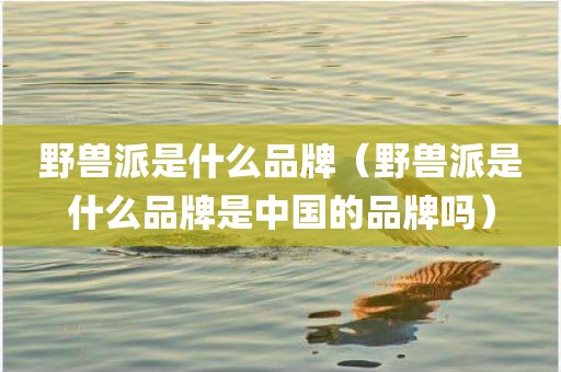 野兽派是什么品牌(野兽派是什么品牌是中国的品牌吗)