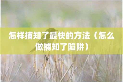 怎样捕知了最快的方法（怎么做捕知了陷阱）