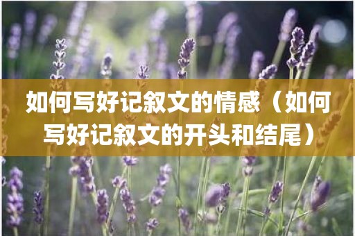 如何写好记叙文的情感（如何写好记叙文的开头和结尾）