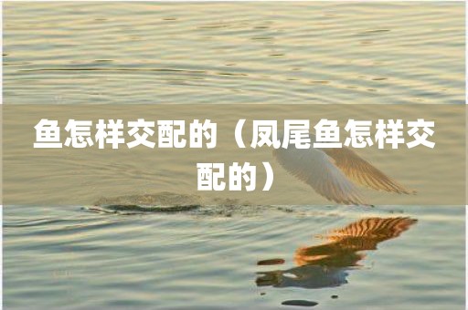 鱼怎样交配的（凤尾鱼怎样交配的）